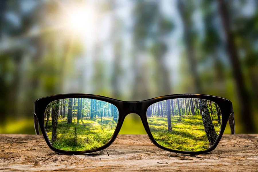 seeing a forest landscape clearly through a pair of glasses while everything else is blurry