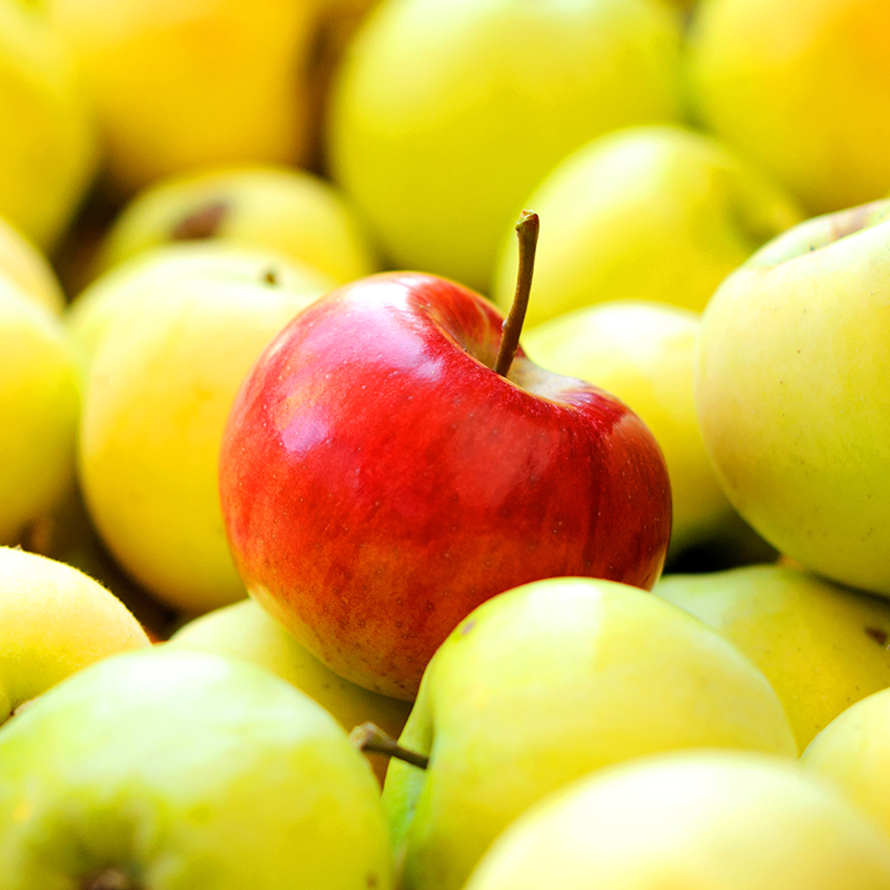 A red apple standing out in a pile of yellow apples and looking like the best and only choice