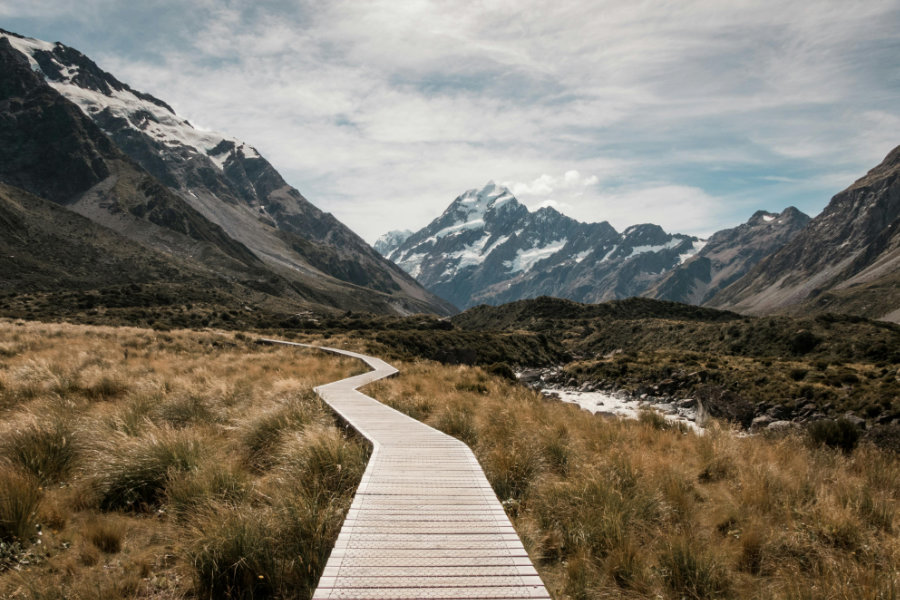 Wooden path through a field leading toward mountains.